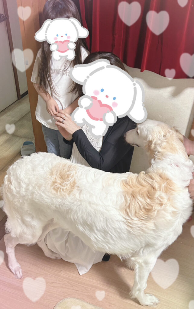 🐶珍しい犬🐶