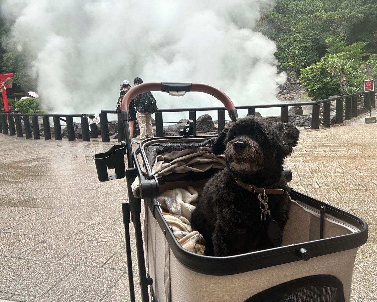 お誕生日旅行♪