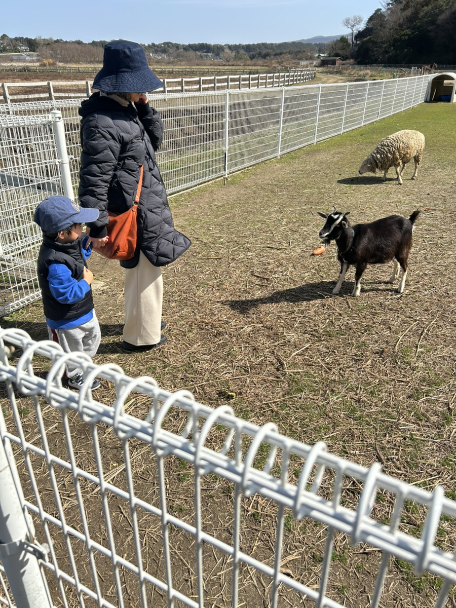 動物園に行きたい！！