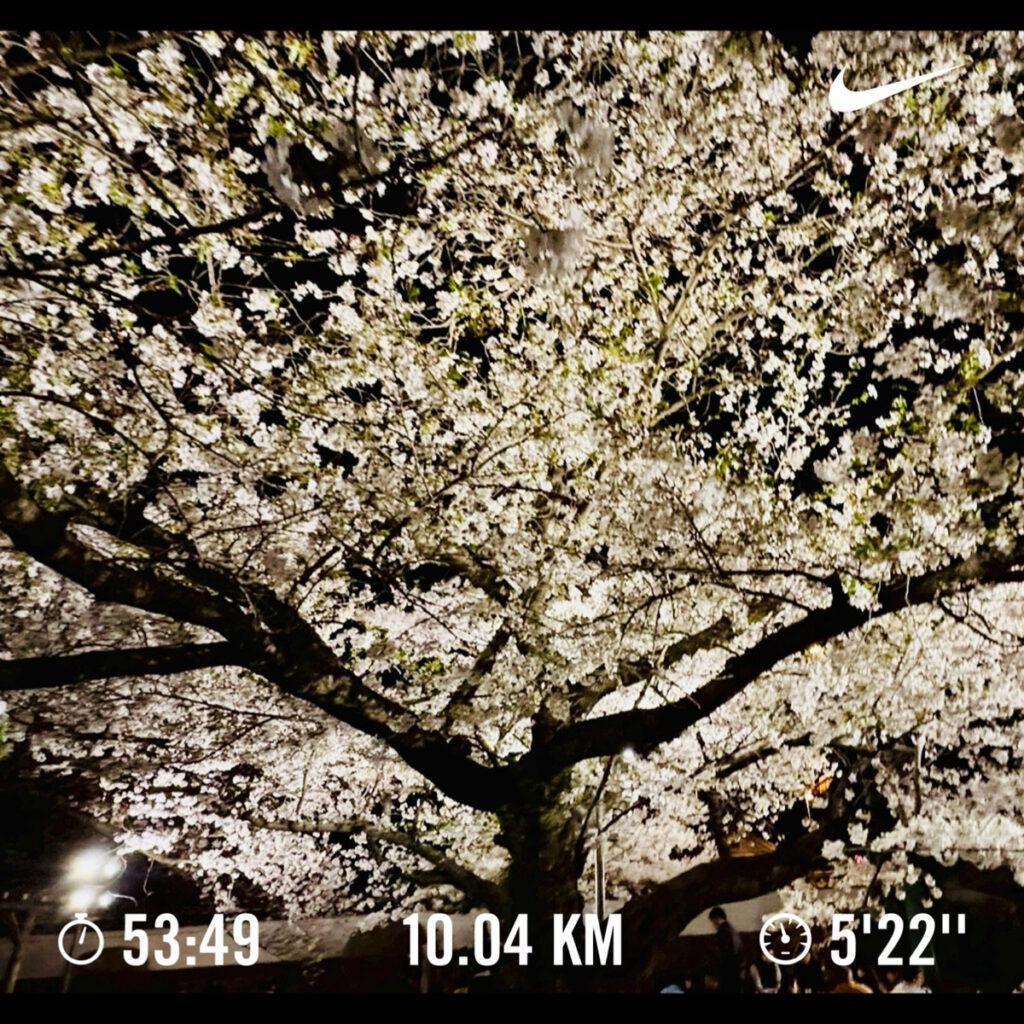 走ってます≡┏( ｀Д´)┛